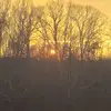 Lori Defibaugh - @loridefibaugh - TikTok