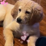 Lori Ridenbaugh - @loriridenbaugh - Instagram