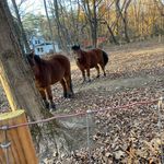 Lori Riker - @lori_riker - Instagram