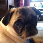 Lori Hawn Ritchey - @ljritchey - Instagram