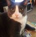 Lori Ritchey Shawger - Facebook