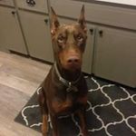 Lori Ritchie Hooper - @hoop1962 - Instagram