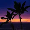 Lori Rolfsness Ritchie - @lori_ritchie - TikTok