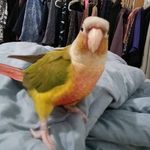 Lori Ritter - @ritterlori5 - Instagram