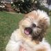 Laura Ritz - Facebook