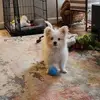 Lori Ritz - @lori.ritz0 - TikTok