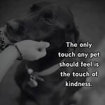 Lori Roe Maynard Steele - @loriroemaynard - Instagram
