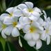 Lori Rohrs - Facebook