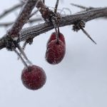 Lori Rollason - @lorirollasonpottery - Instagram