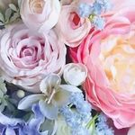 loriroll - @loriroll4 - Instagram