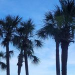 Lori Krumme Rollins - @lori_rollins - Instagram