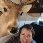 Lori Rollins - @lori27040 - Instagram