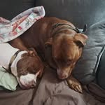 Lori Roop - @loriroop9 - Instagram