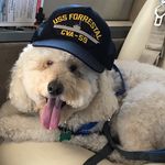 Lori Rosenberg Shane - @lorirosenbergshane - Instagram