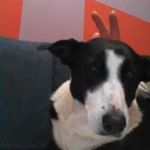 Lori Rossi - @rossi1452 - Instagram