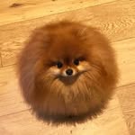 lori - @lori_rubin3009 - Instagram