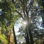 Lori Rubin - @lori.rubin.3 - Instagram