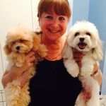 Lori Rubin - @lorirubin19 - Instagram