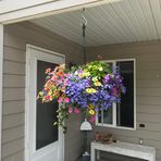 Lori Ruby - Facebook