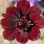 Lori Rushton - @lorirushton - Instagram