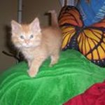 Lori Ryan - @lorijean638 - Instagram