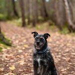 Lori Ryan - @gillisbrosinc - Instagram