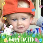 Lori Hollinrake Ryder - @loriryder - Instagram
