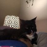 Lori ryder - @loriryder721 - Instagram