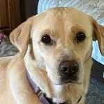 Lori Sage - @lorisage53 - Instagram