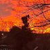 Lori Ann Scanlon - Facebook
