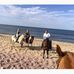 Lori Scanlon - Facebook