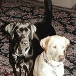 Lorraine Hazekamp Scanlon - @lscanlon01 - Instagram