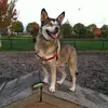 LORI SCHAFFER - @lori.schaffer2 - TikTok