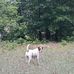 Laura Schaub - Facebook