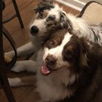 Lori Schiff Callis - Facebook