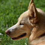 Lori Schill - @my_sweetgirl_luna - Instagram