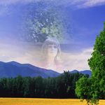 Lori Schilling - @lori.schilling.54 - Instagram