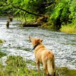 Lori Stoffel Schill - @you_can_not_have_any_pudding - Instagram