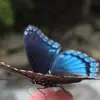 lorischlegeldensm - @lorischlegeldensm - TikTok