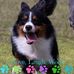 Lori Schlosser - Facebook