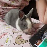 Lori Schlosser - @schlosser189 - Instagram