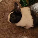 Lori Schlosser - @lorisch.29 - Instagram