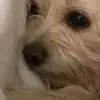 Lori Schnell - @lori.schnell - TikTok