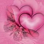 Lori Schnell - @schnelllori - Instagram