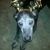 Lori Schultz - @lori.schultz62 - TikTok