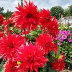 Lori Scribner - @loriannscribner - Instagram