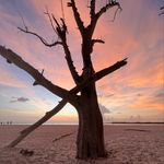 Lori Fors Secrist - @lorisecrist - Instagram
