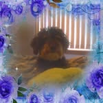 Lorie Seefeldt - @lories2721 - Instagram