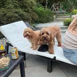 Lori Seifert Mufson - @lm714 - Instagram