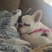 Lori Serna - Facebook